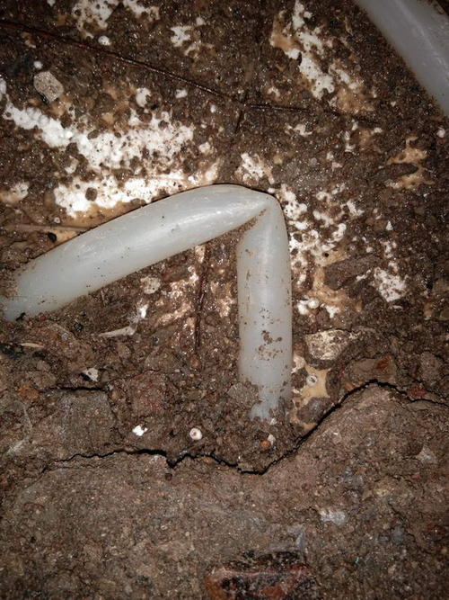 阿尔山堵点精准查找